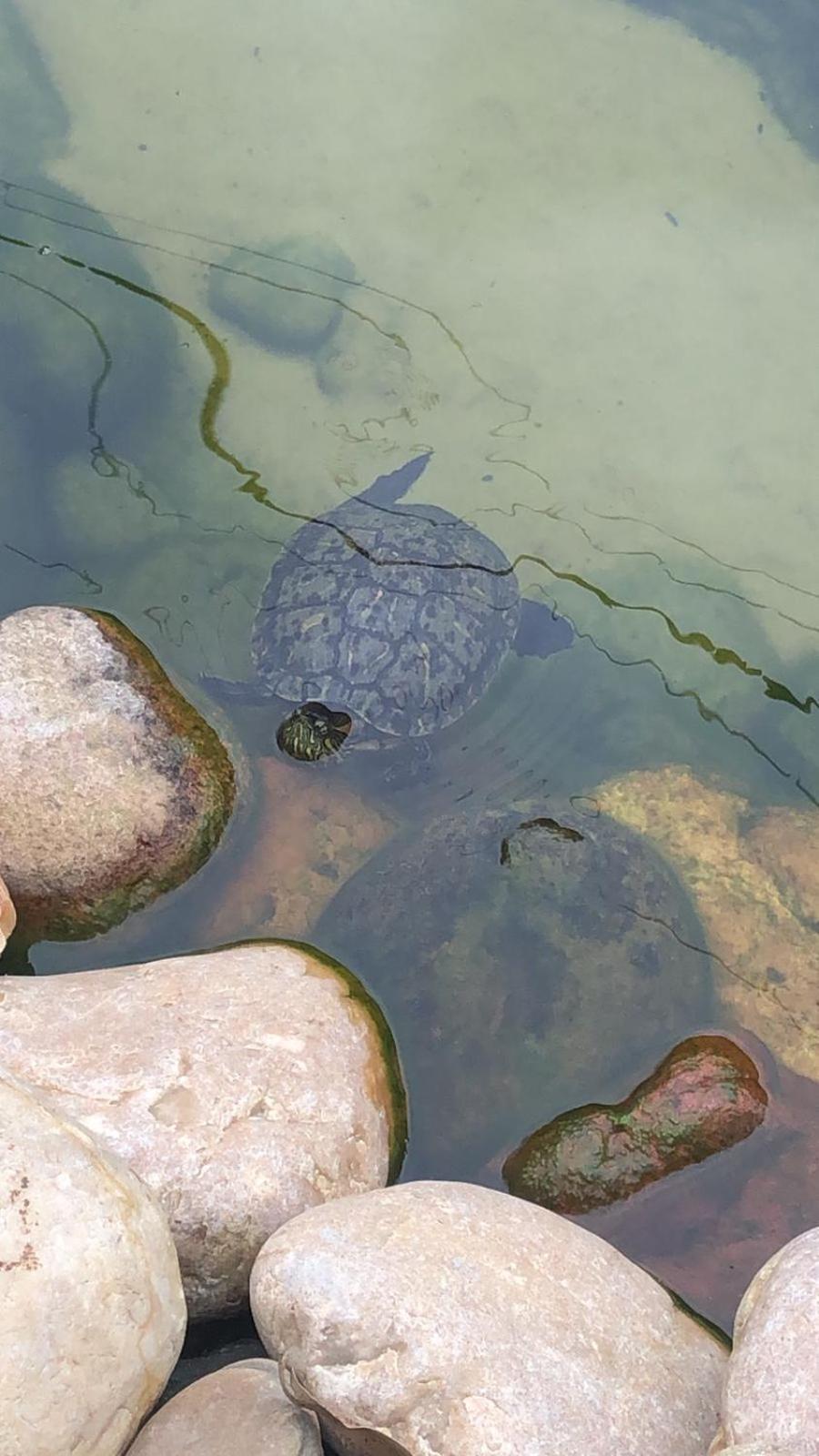 Pousada Vo Lica Com Piscina Penha  Luaran gambar